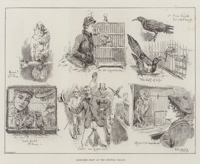 Cage-Bird Show at the Crystal Palace by S.T. Dadd